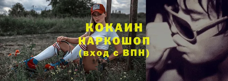 Cocaine FishScale  купить наркотики сайты  Пучеж 