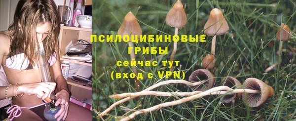 спайс Надым