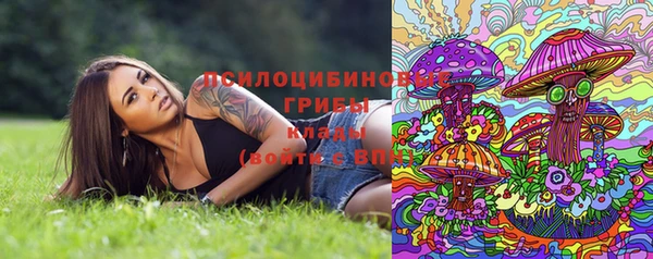 мяу мяу кристалл Нефтекумск