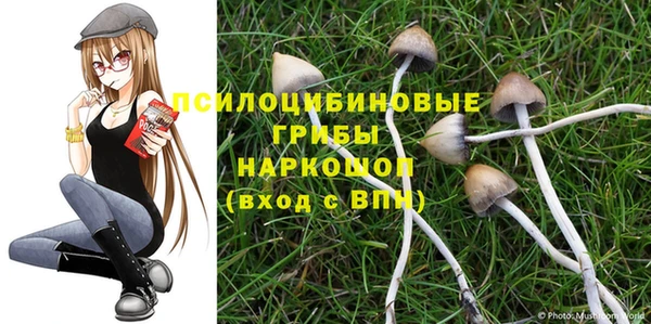 мяу мяу кристалл Нефтекумск